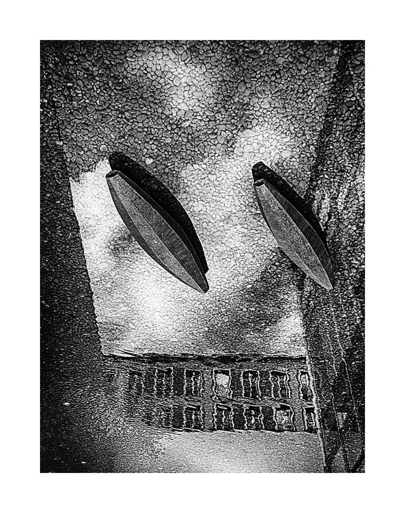 Zeppelins En Goguette